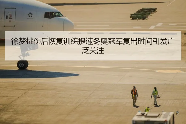 徐梦桃伤后恢复训练提速冬奥冠军复出时间引发广泛关注